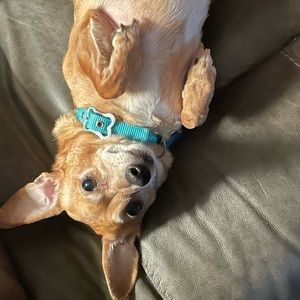 Meet your Posher, Vanessa